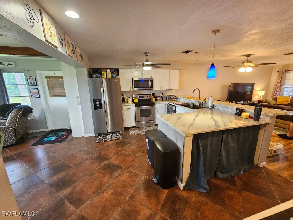 217 Beth Stacey Boulevard Lehigh Acres FL 33936 225072977 image21