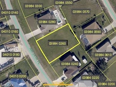 217 NW 29th Place Cape Coral FL 33993 223055001 image1