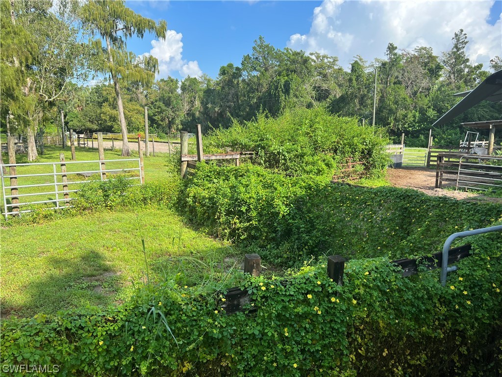 2170 Rock Road Naples FL 34120 223069759 image11