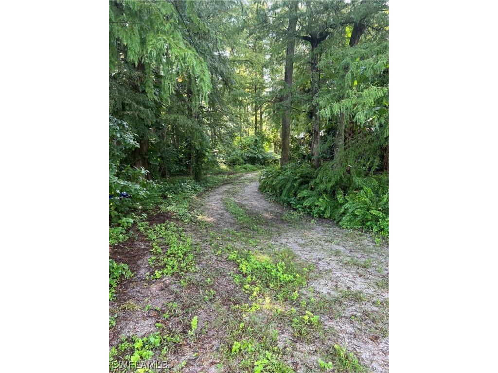 2170 Rock Road Naples FL 34120 223069759 image13