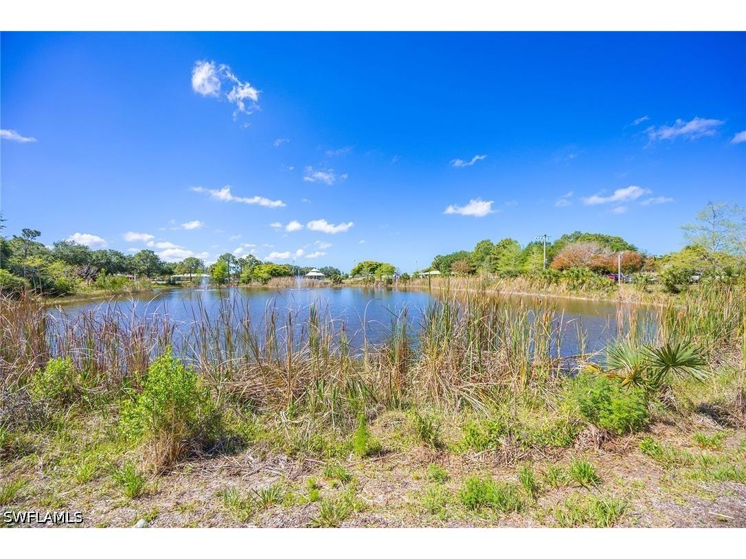 21701 Arenga Lane Estero FL 33928 226017652 image45