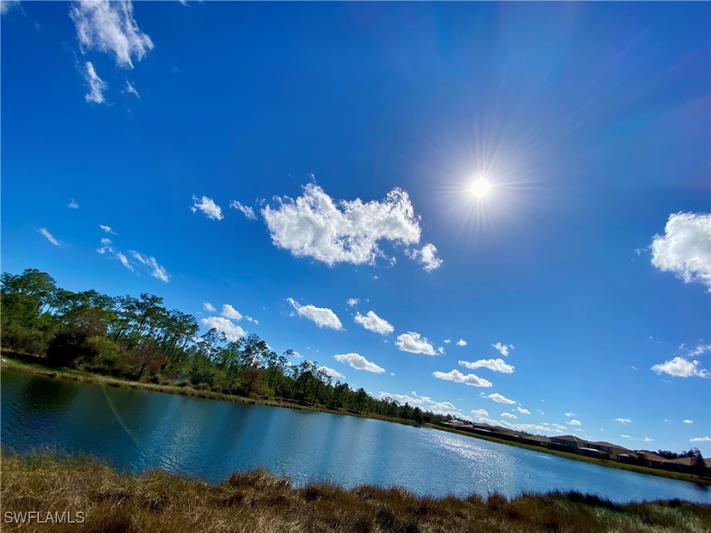 21718 Bella Terra Boulevard Estero FL 33928 226000133 image33