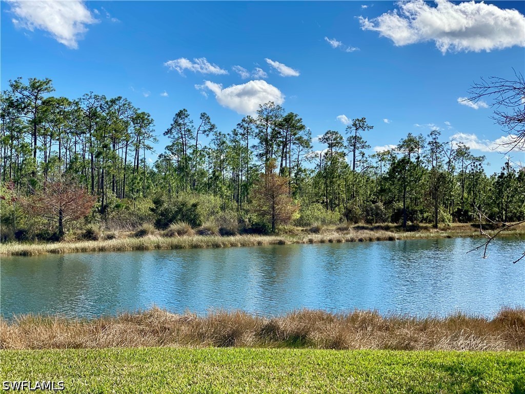 21718 Bella Terra Boulevard Estero FL 33928 226024919 image1