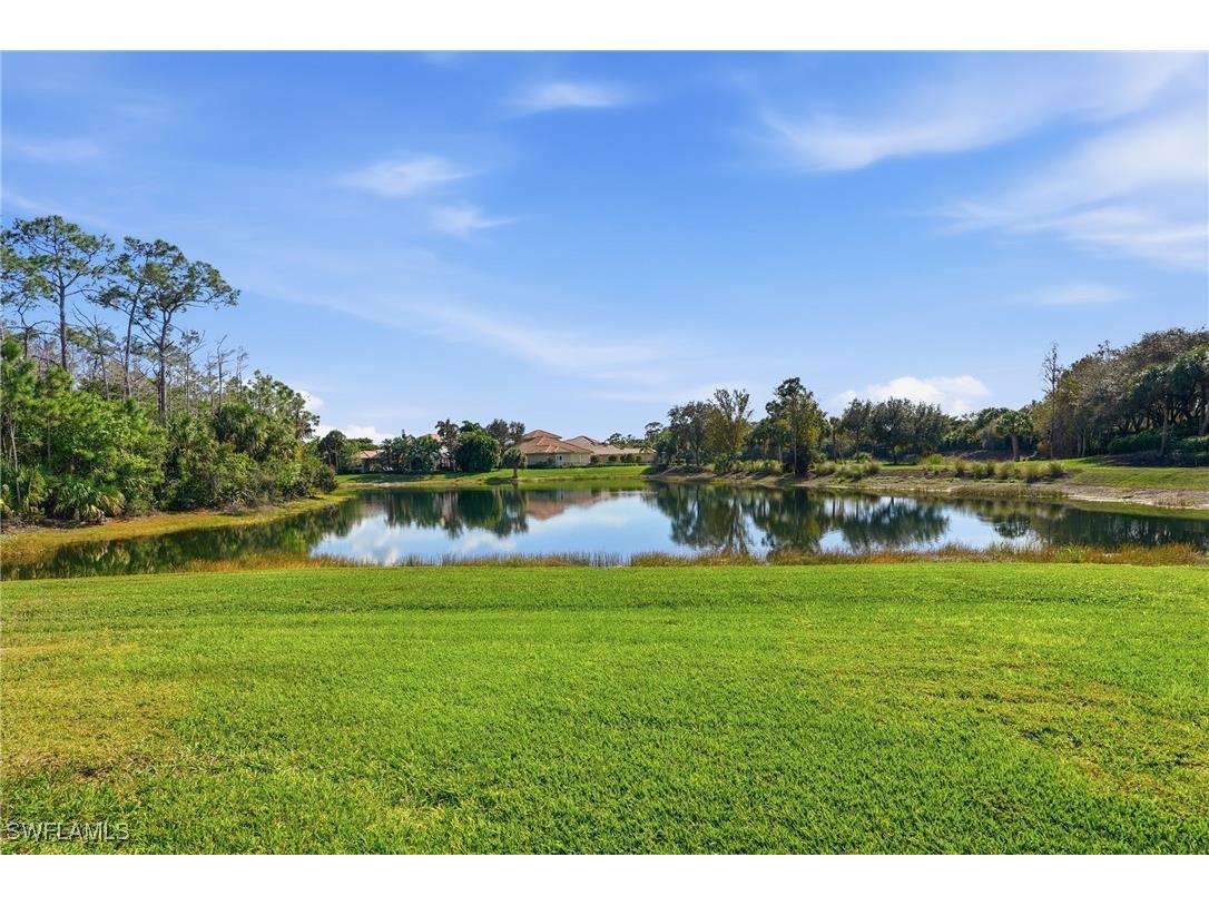 21750 Longleaf Trail Drive Estero FL 34135 226003803 image37