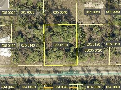 218 Singer Street Lehigh Acres FL 33972 224054879 image1