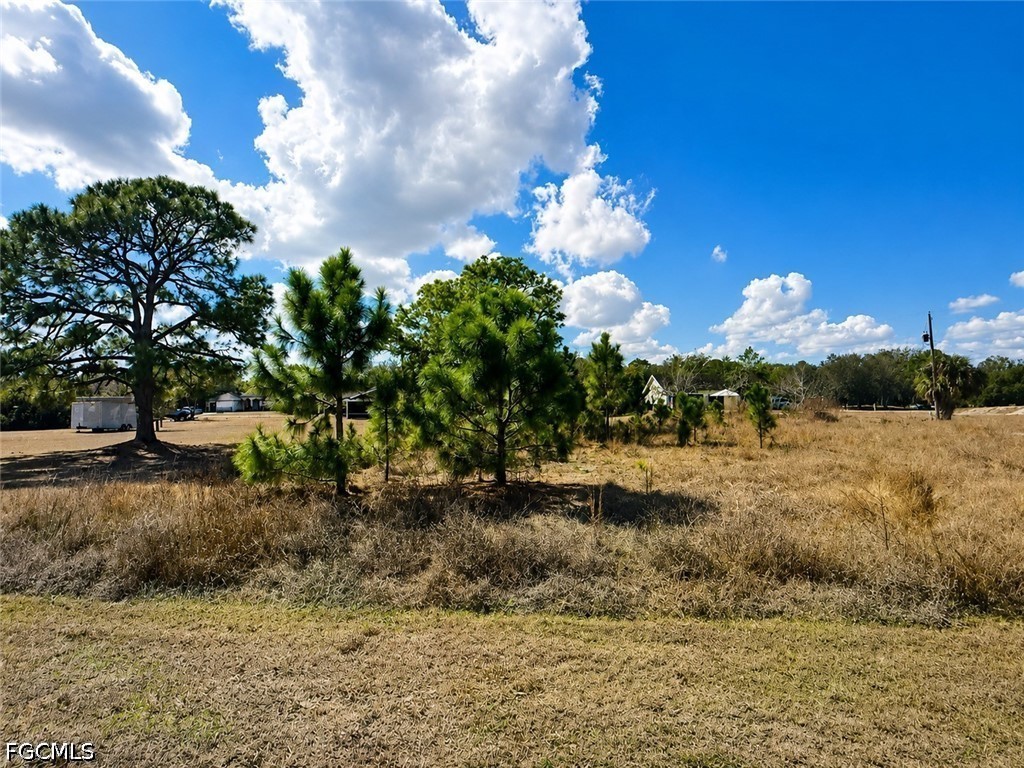 2184 Lincoln Park Avenue Alva FL 33920 2026022201 image2