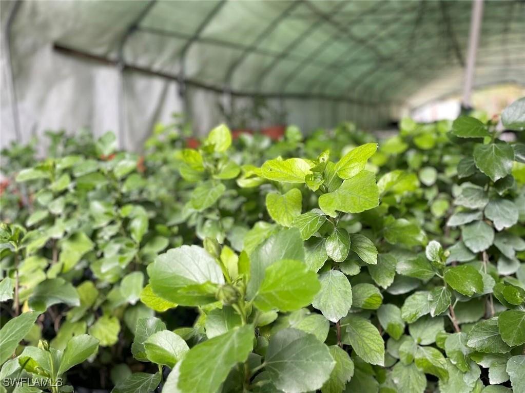 2185 Markley Avenue Naples FL 34117 226001980 image1