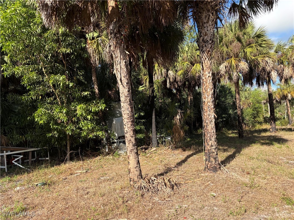 2185 Markley Avenue Naples FL 34117 226001980 image10