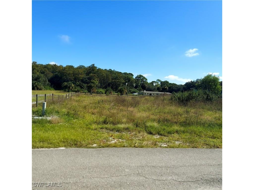 2189 Lincoln Park Avenue Alva FL 33920 225073955 image2