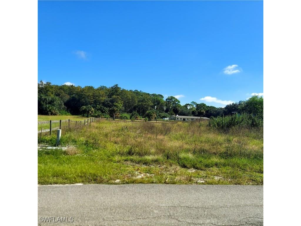 2189 Lincoln Park Avenue Alva FL 33920 225073955 image3