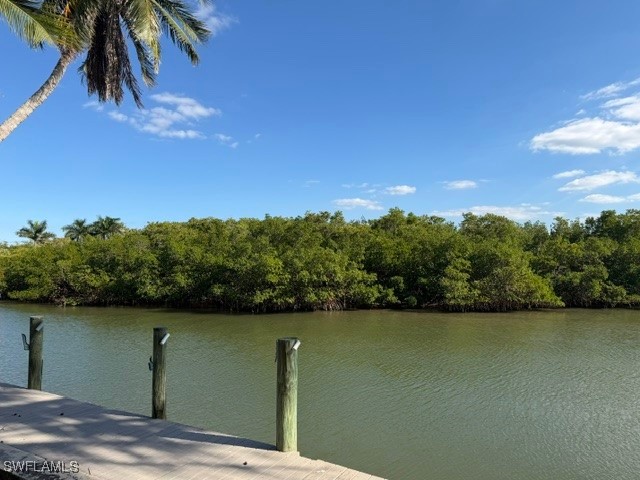 2195 Sheepshead Drive Naples FL 34102 225083727 image2