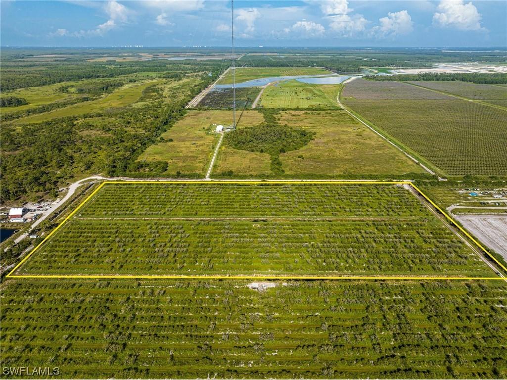 21979 Carter Road Estero FL 33928 224020883 image7
