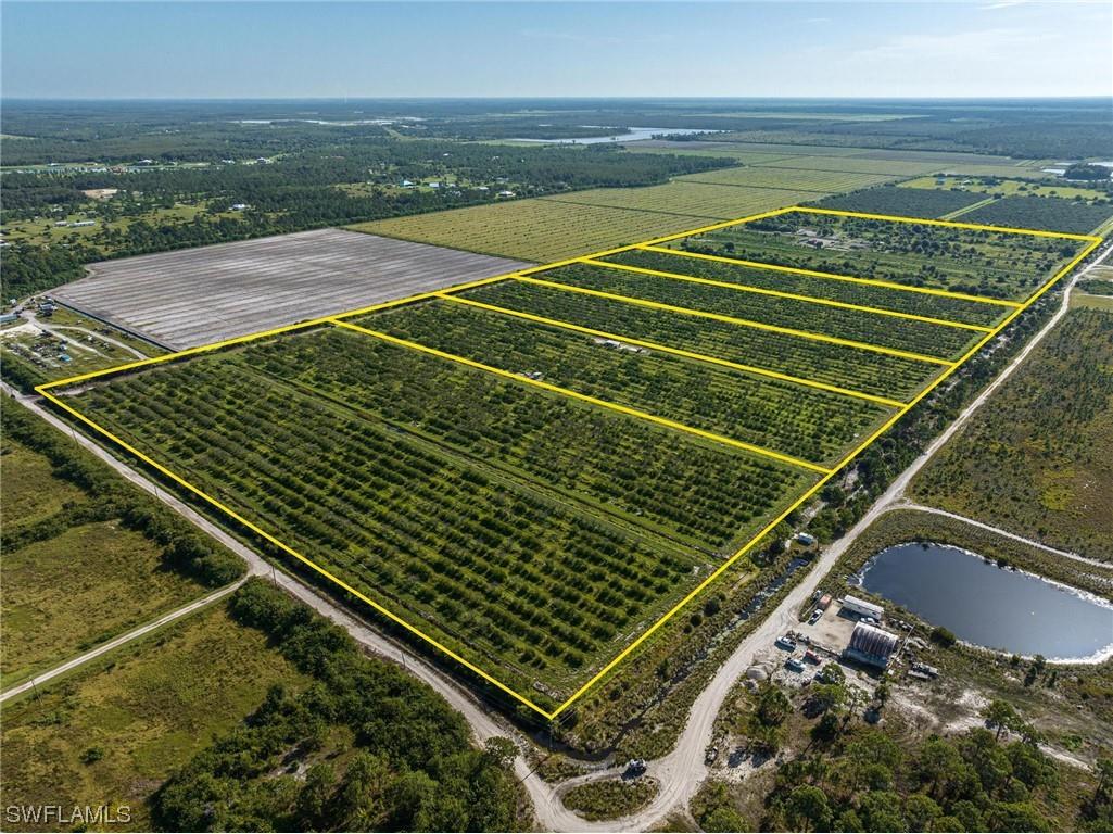 21983 Carter Road Estero FL 33928 224020884 image11