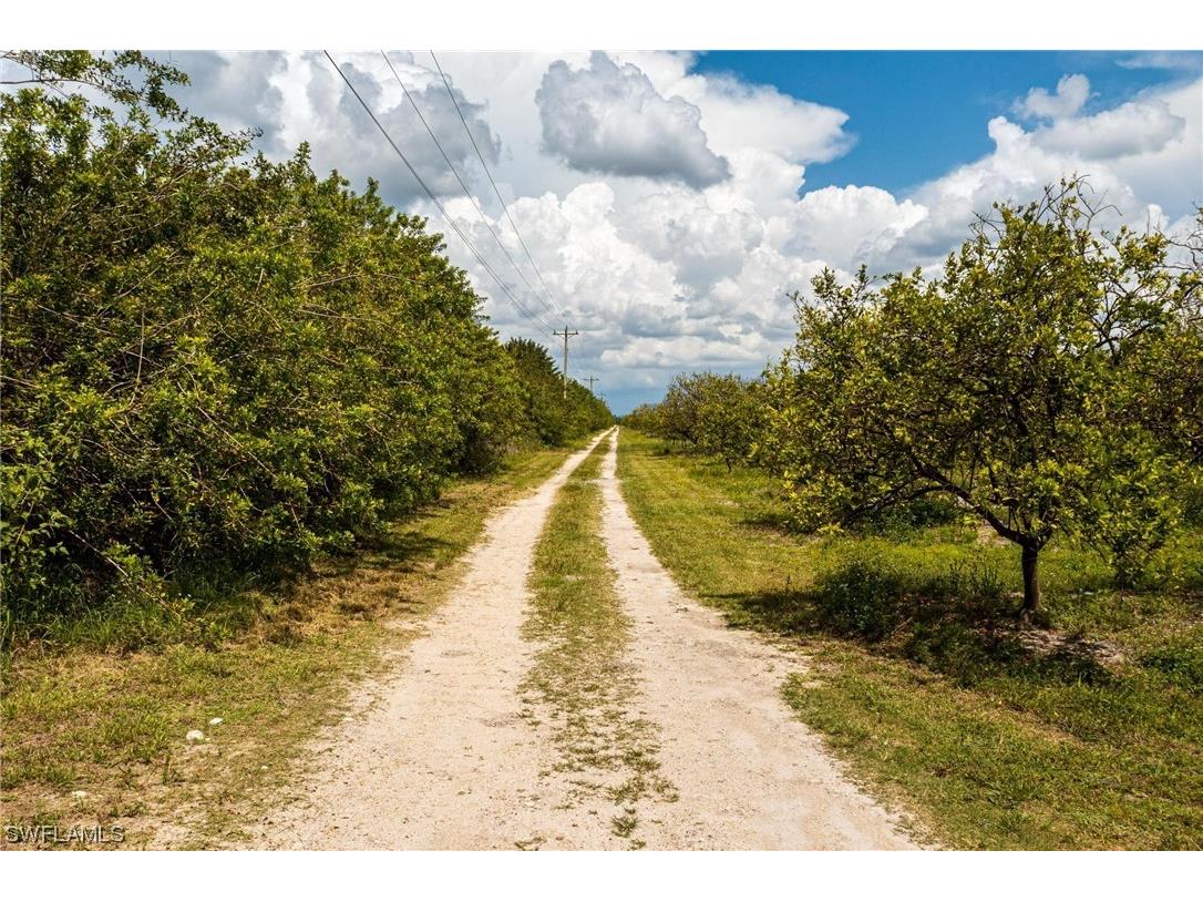 21983 Carter Road Estero FL 33928 224020884 image14