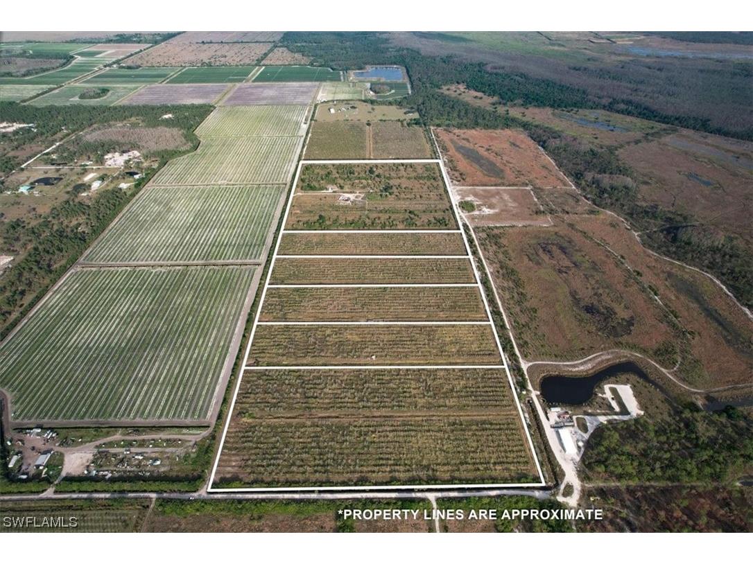 21983 Carter Road Estero FL 33928 224020884 image6