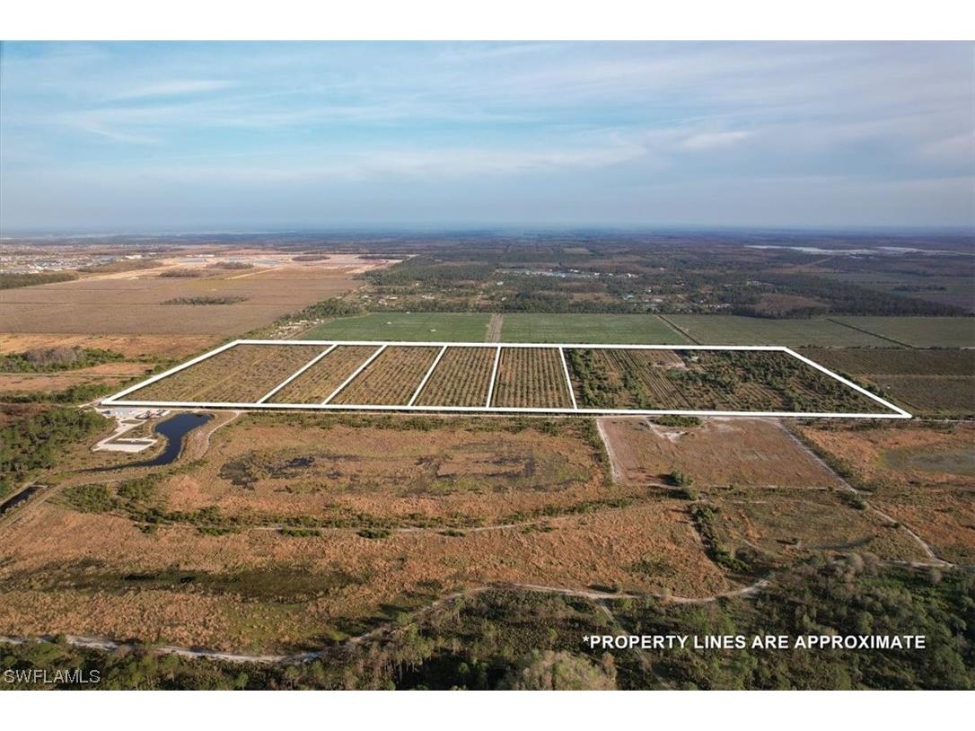 21987 Carter Road Estero FL 33928 224020886 image4