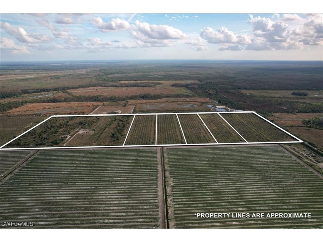 21987 Carter Road Estero FL 33928 224020886 image5