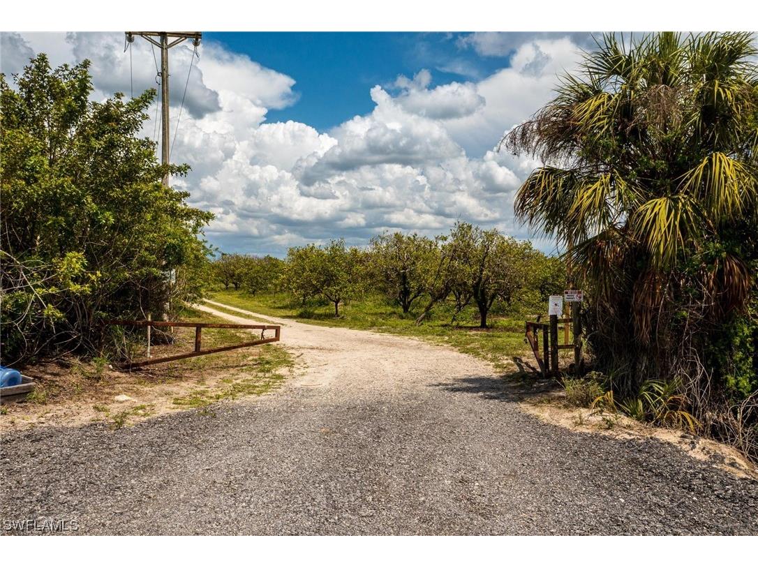 21995 Carter Road Estero FL 33928 224020888 image3