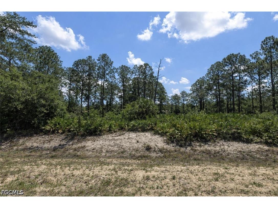 22 Wellington Avenue Lehigh Acres FL 33936 2026017599 image1