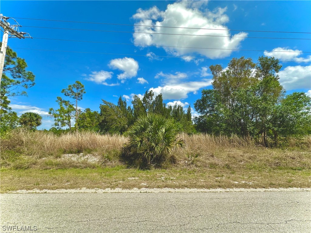 220 Moore Avenue Lehigh Acres FL 33936 223024712 image1