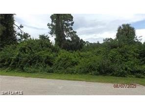 220 Roosevelt Avenue Lehigh Acres FL 33936 226006802 image6