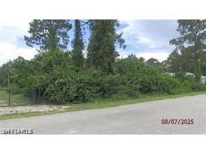 220 Roosevelt Avenue Lehigh Acres FL 33936 226006802 image7