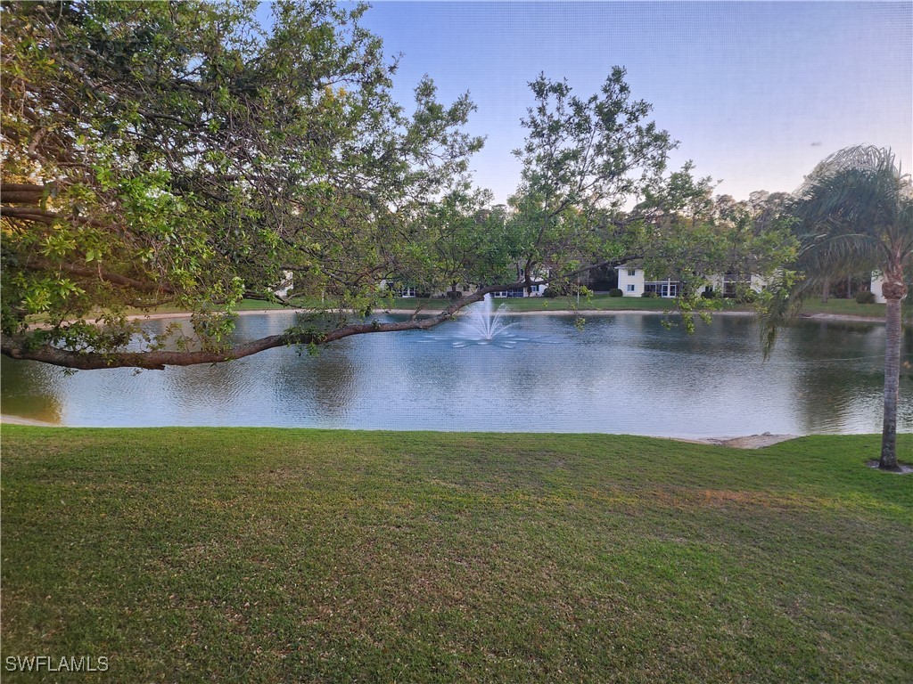 220 Timber Lake Circle #B204 Naples FL 34104 225081147 image4