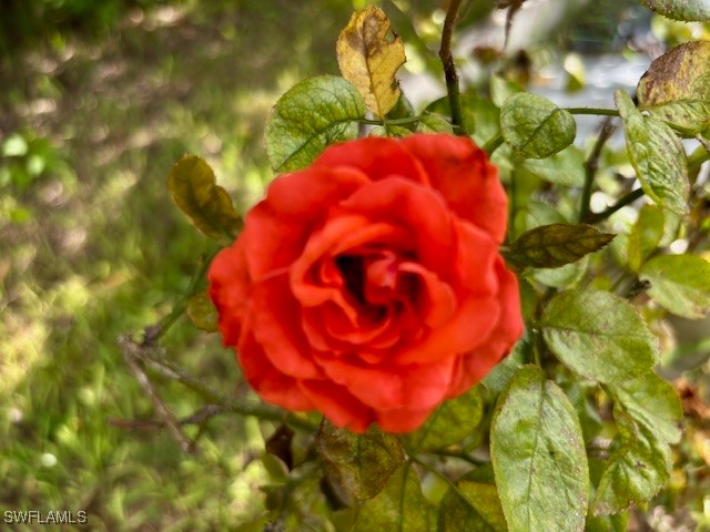 2201 Howard Road Labelle FL 33935 225068010 image22