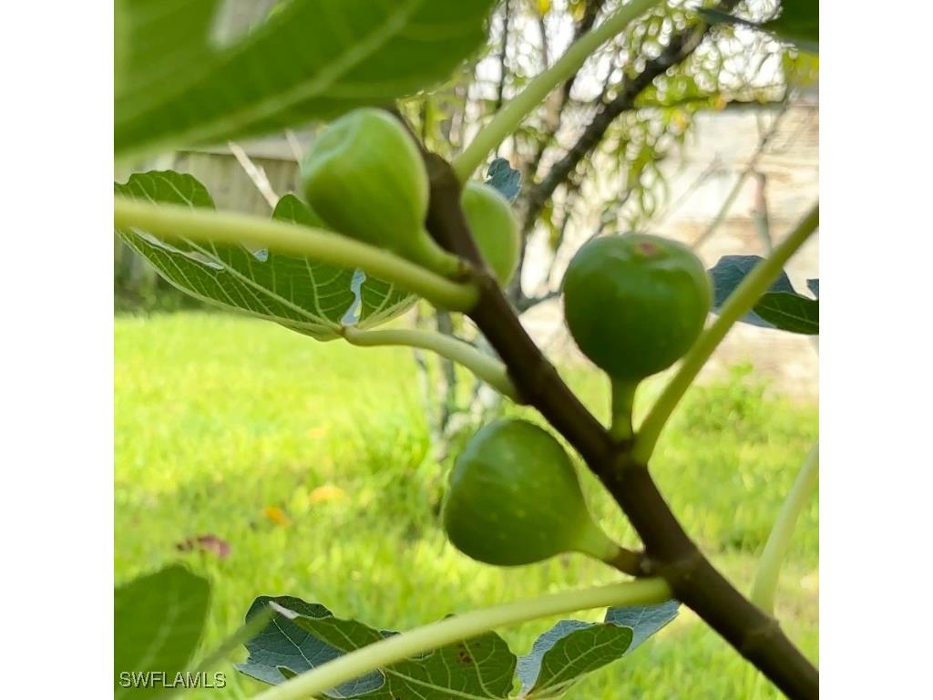 2201 Howard Road Labelle FL 33935 225068010 image24