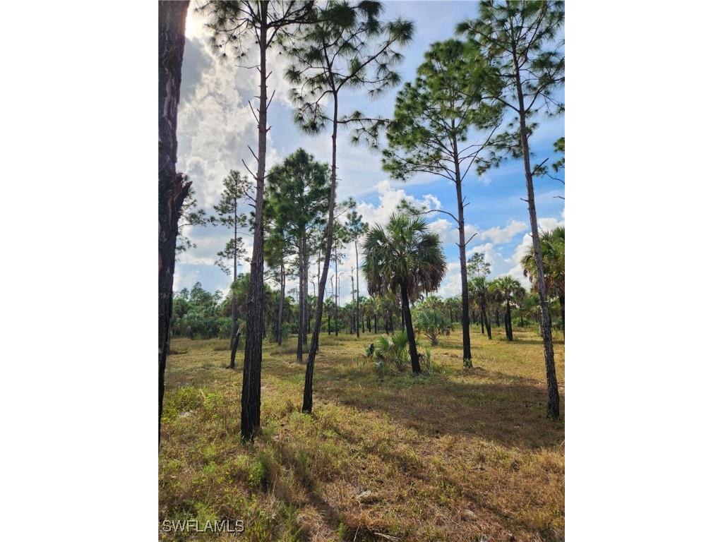 2201 Ivy Way Naples FL 34117 225083051 image2