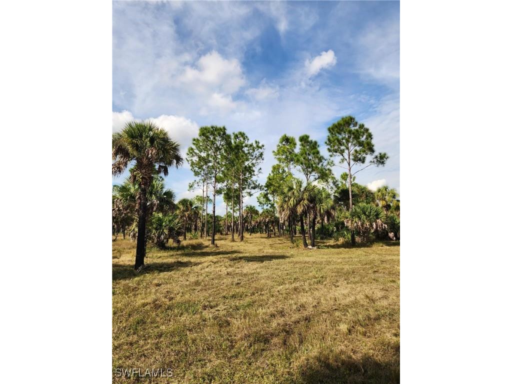 2201 Ivy Way Naples FL 34117 225083051 image3