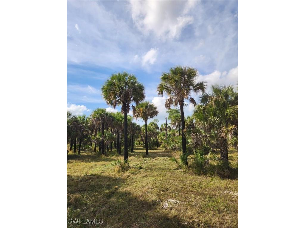 2201 Ivy Way Naples FL 34117 225083051 image4