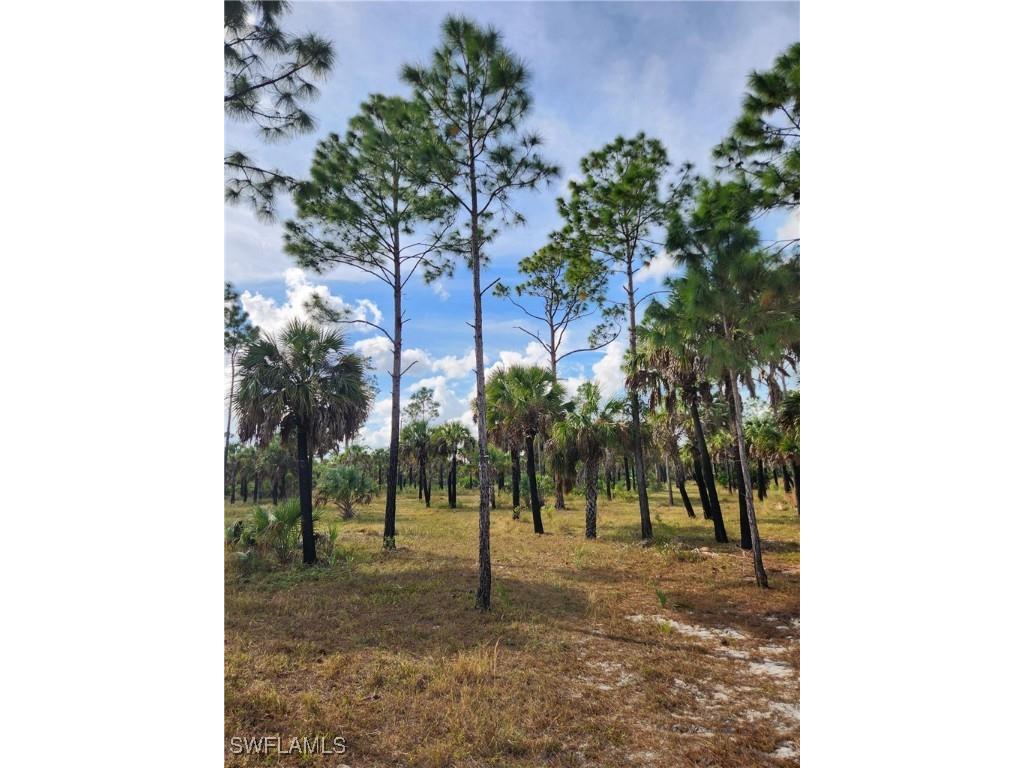 2201 Ivy Way Naples FL 34117 225083051 image5