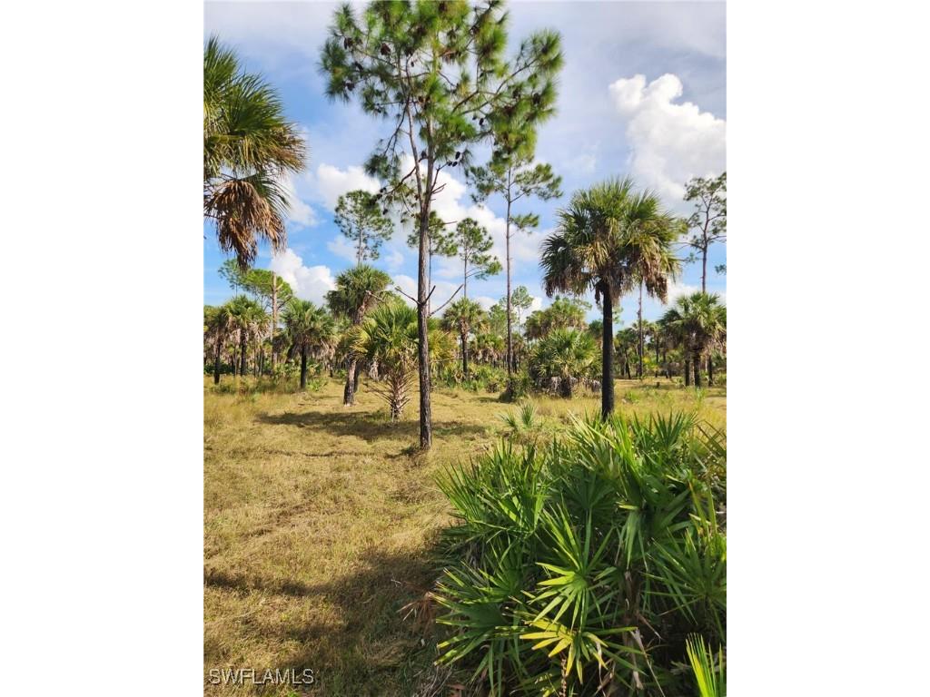 2201 Ivy Way Naples FL 34117 225083051 image6