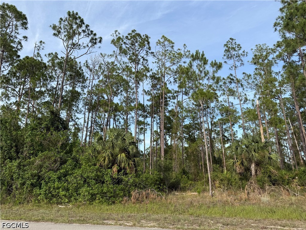 2202 Truman Avenue Alva FL 33920 2026025589 image1