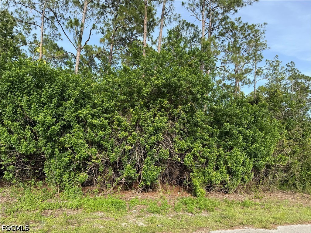 2202 Truman Avenue Alva FL 33920 2026025589 image2