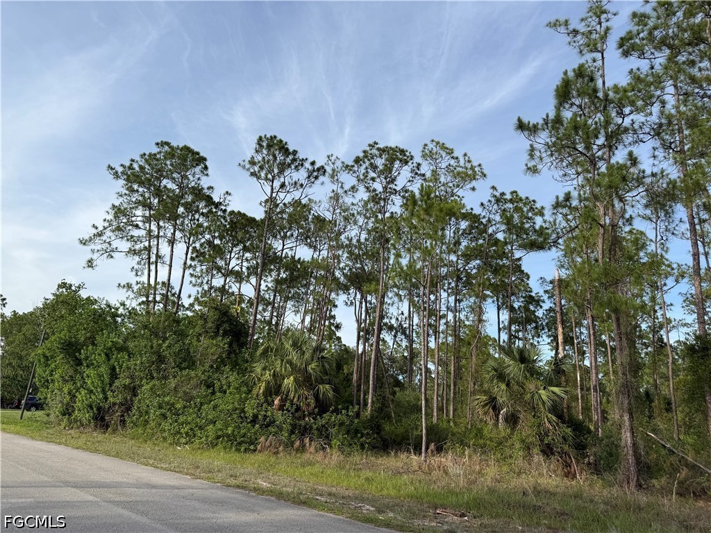 2202 Truman Avenue Alva FL 33920 2026025589 image5