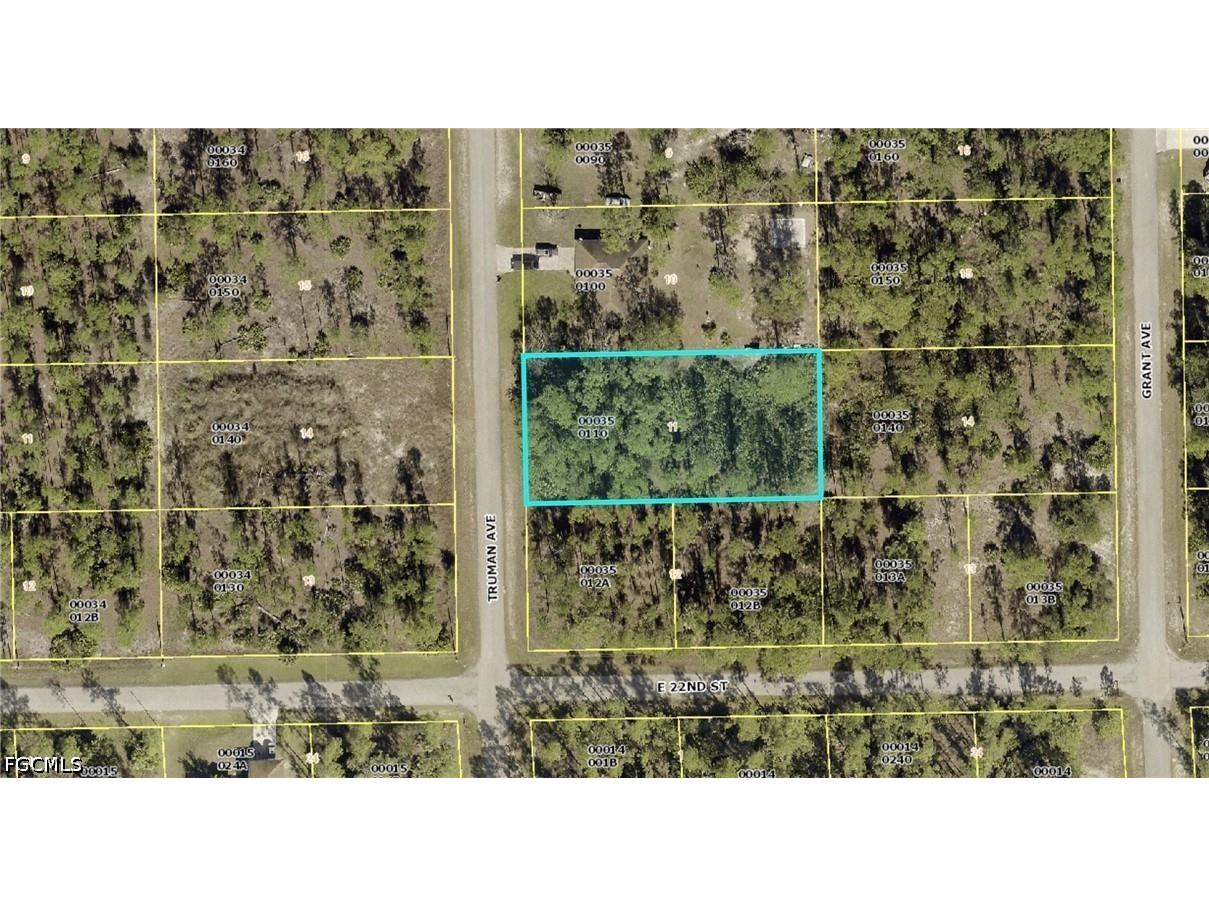2202 Truman Avenue Alva FL 33920 2026025589 image6