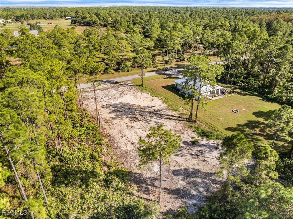 2205 Wellington Avenue Alva FL 33920 2025019876 image8