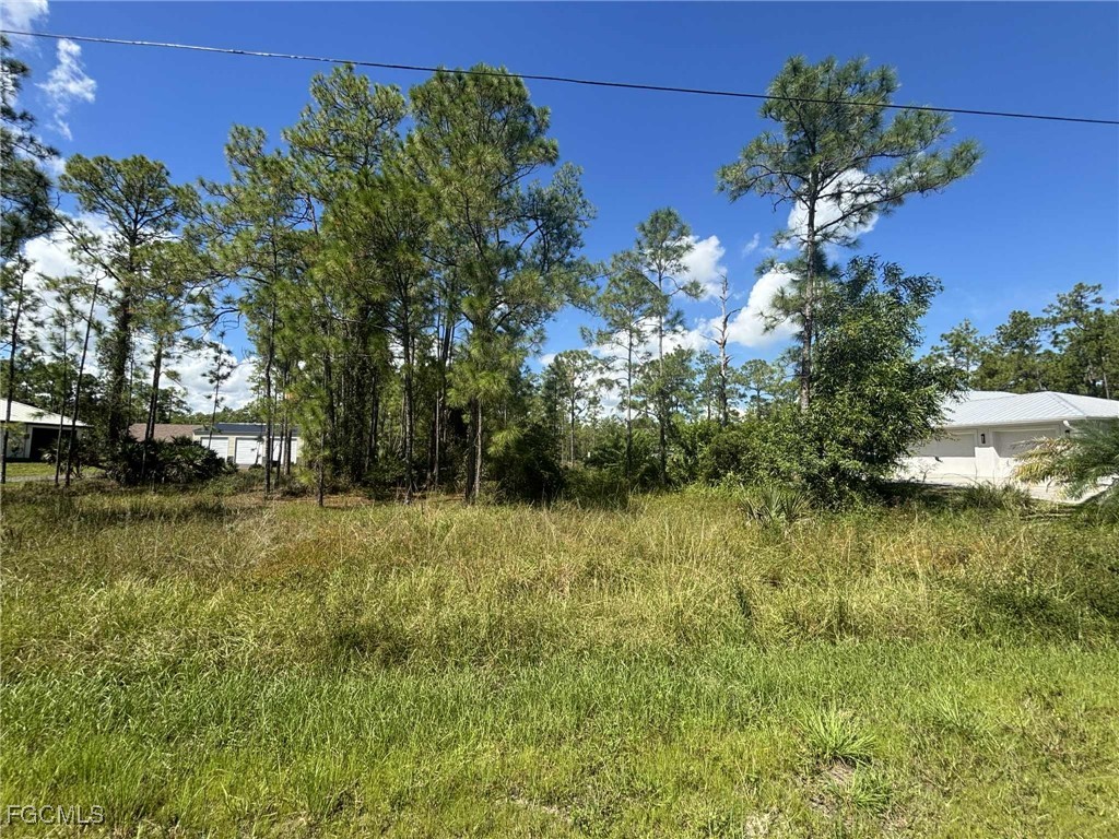2207 Truman Avenue Alva FL 33920 2025012378 image1