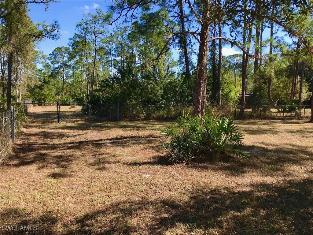 2208 Jackson Avenue Alva FL 33920 225024531 image33