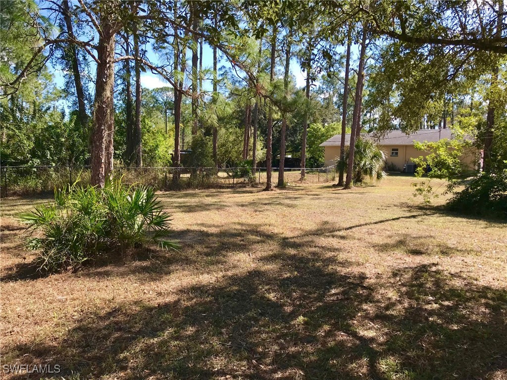 2208 Jackson Avenue Alva FL 33920 225024531 image34