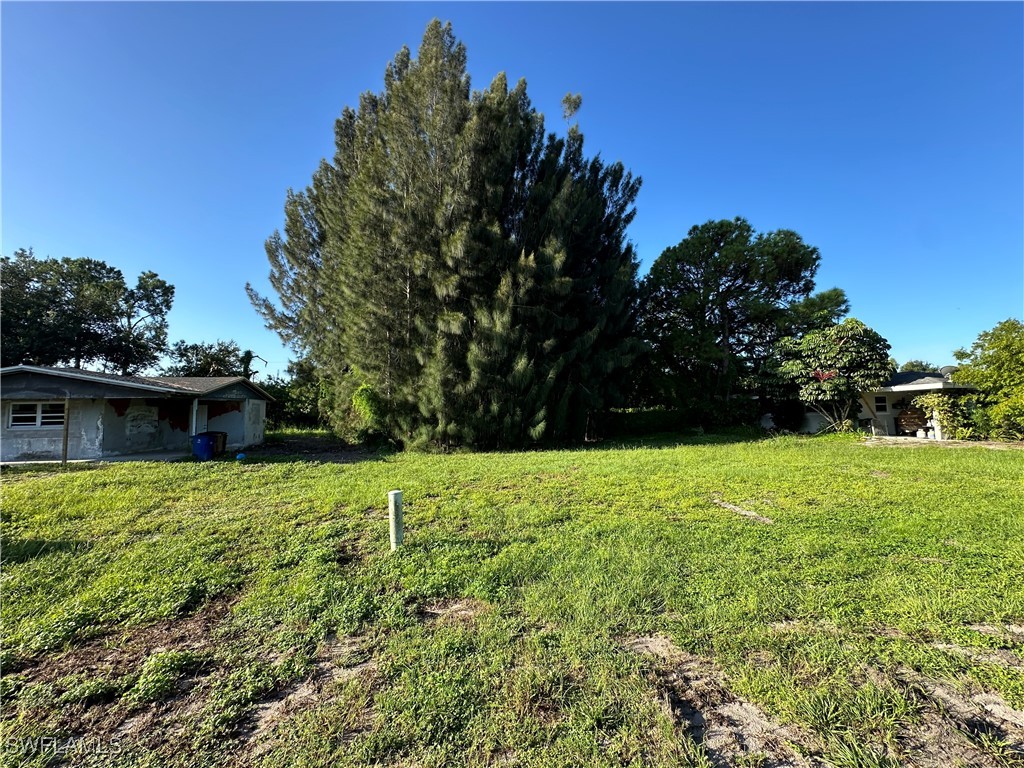 2208 Wyandotte Avenue Alva FL 33920 224068643 image1