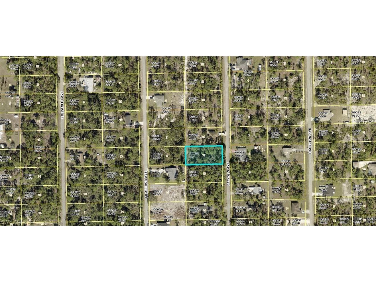 2209 Jackson Avenue Alva FL 33920 223017666 image1