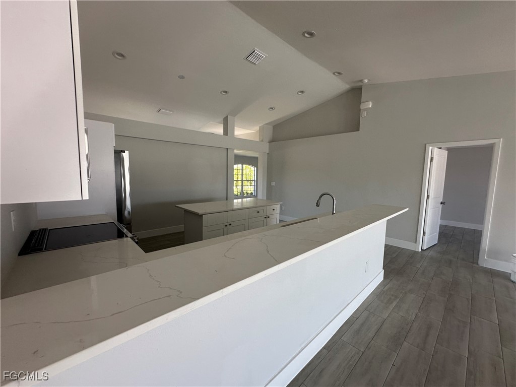 221 NW 29th Place Cape Coral FL 33993 2025010863 image16