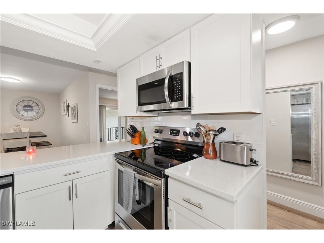 221 Palm Drive #221-2 Naples FL 34112 226004585 image10