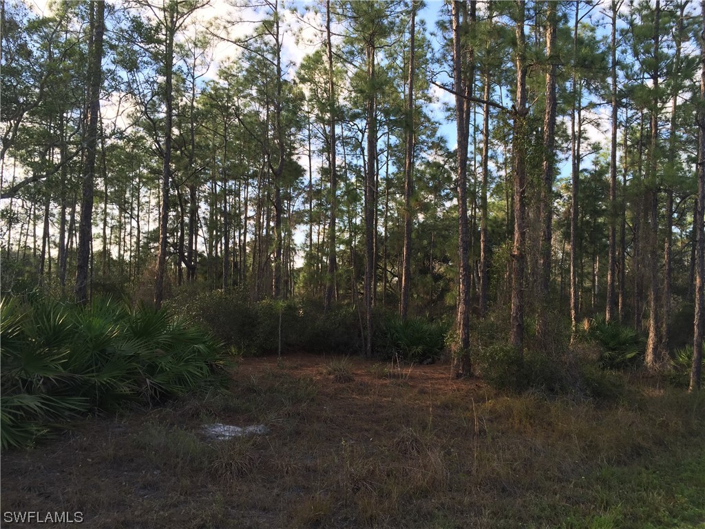 2211 Canton Avenue Alva FL 33920 223062051 image1
