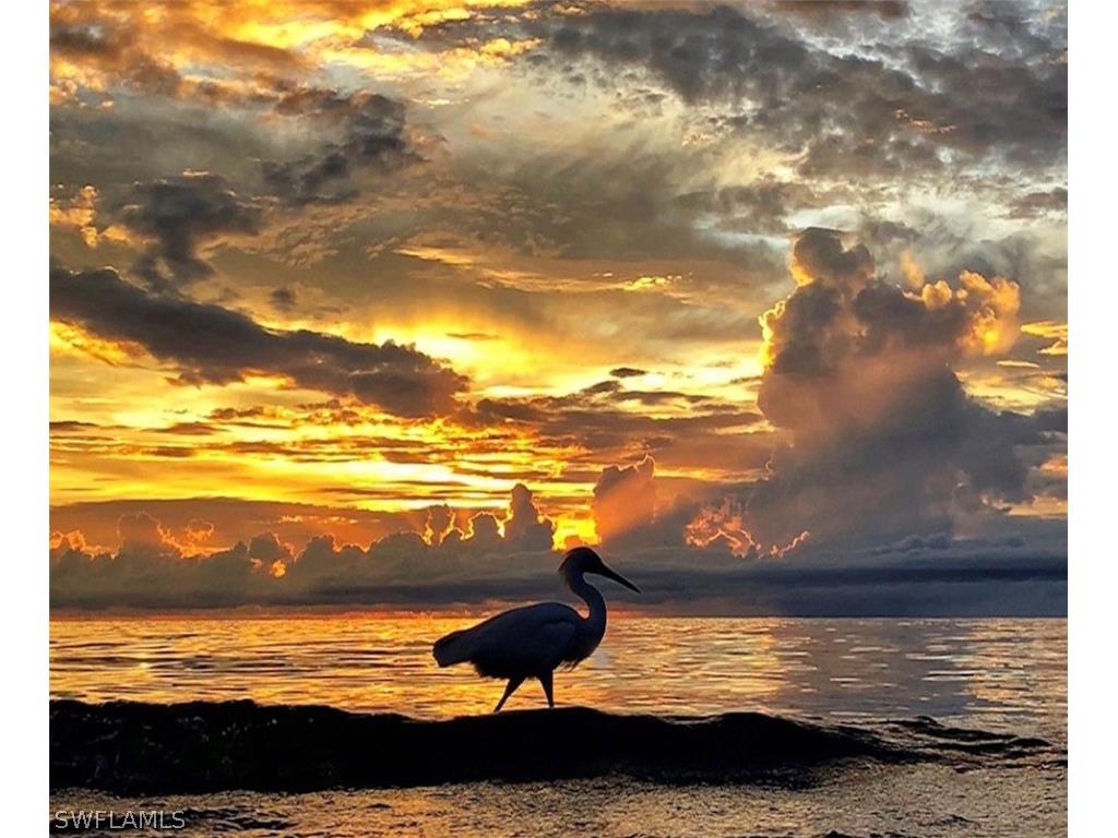 2213 Old Burnt Store Road N Cape Coral FL 33993 221018589 image6