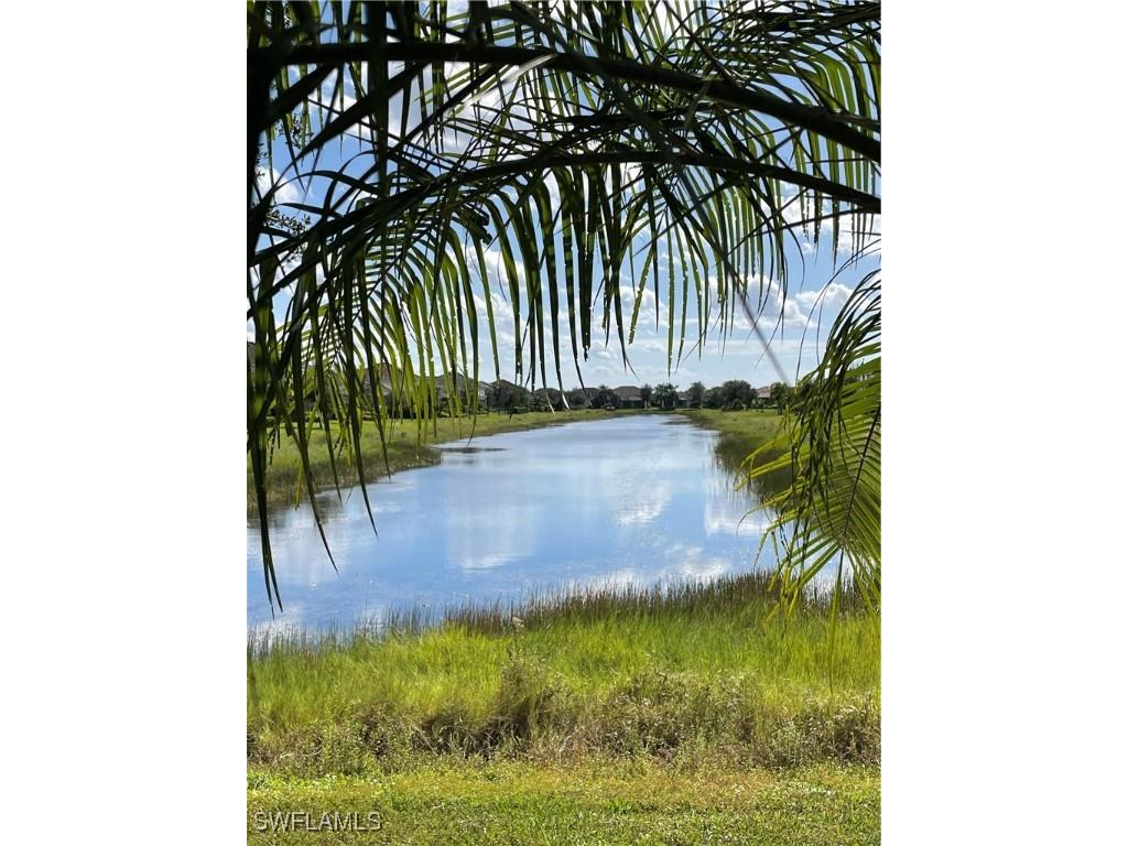 2214 Cara Cara Way Naples FL 34120 225065586 image10