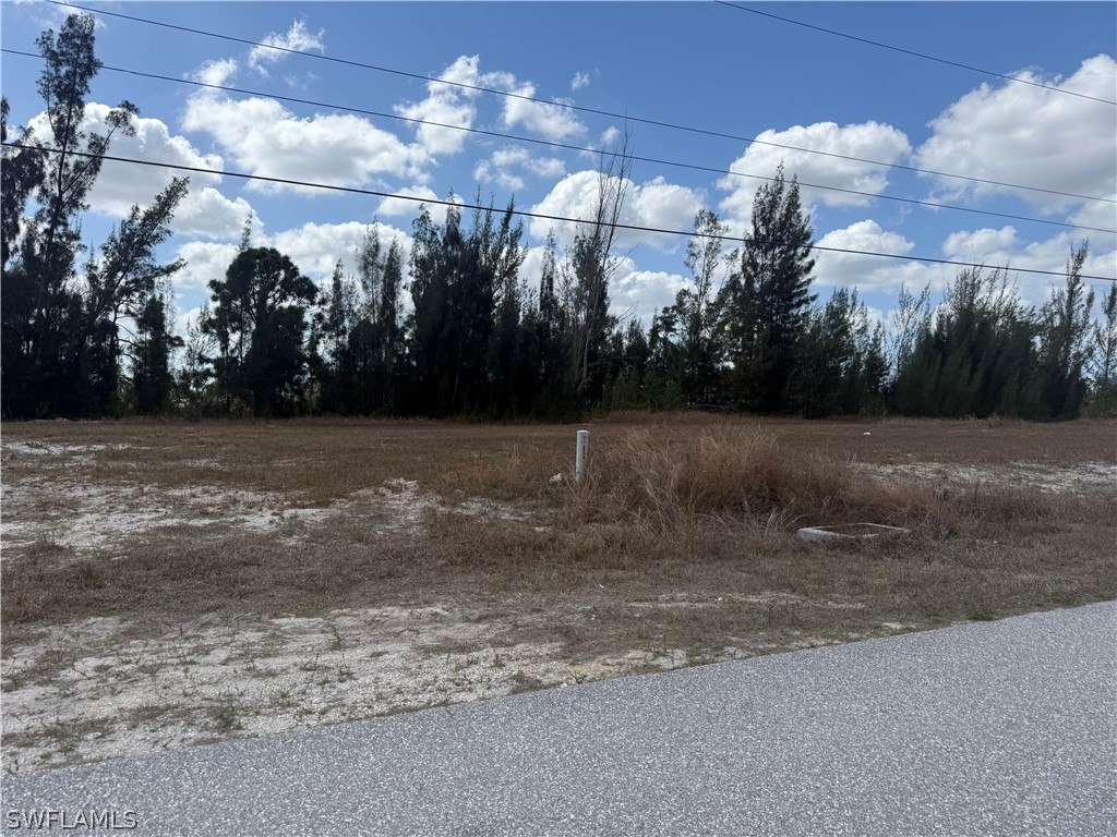 2214 NW 21st Street Cape Coral FL 33993 226011087 image1